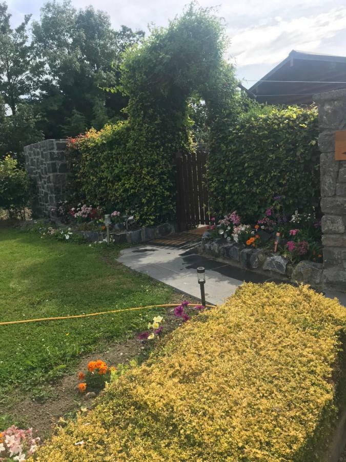 Cosy Countryside Log Cabin Kilkenny Exterior foto